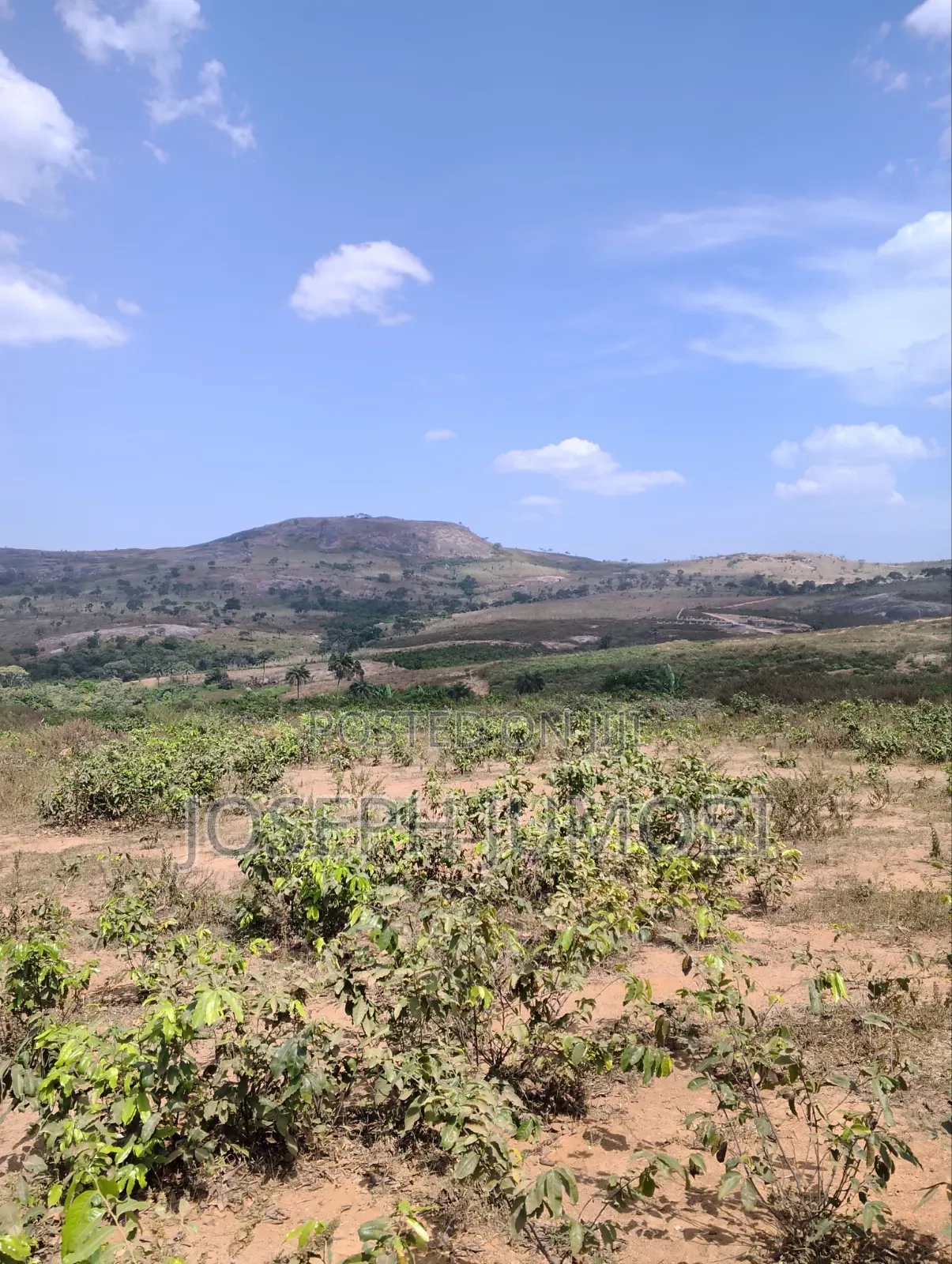 Residential Plot