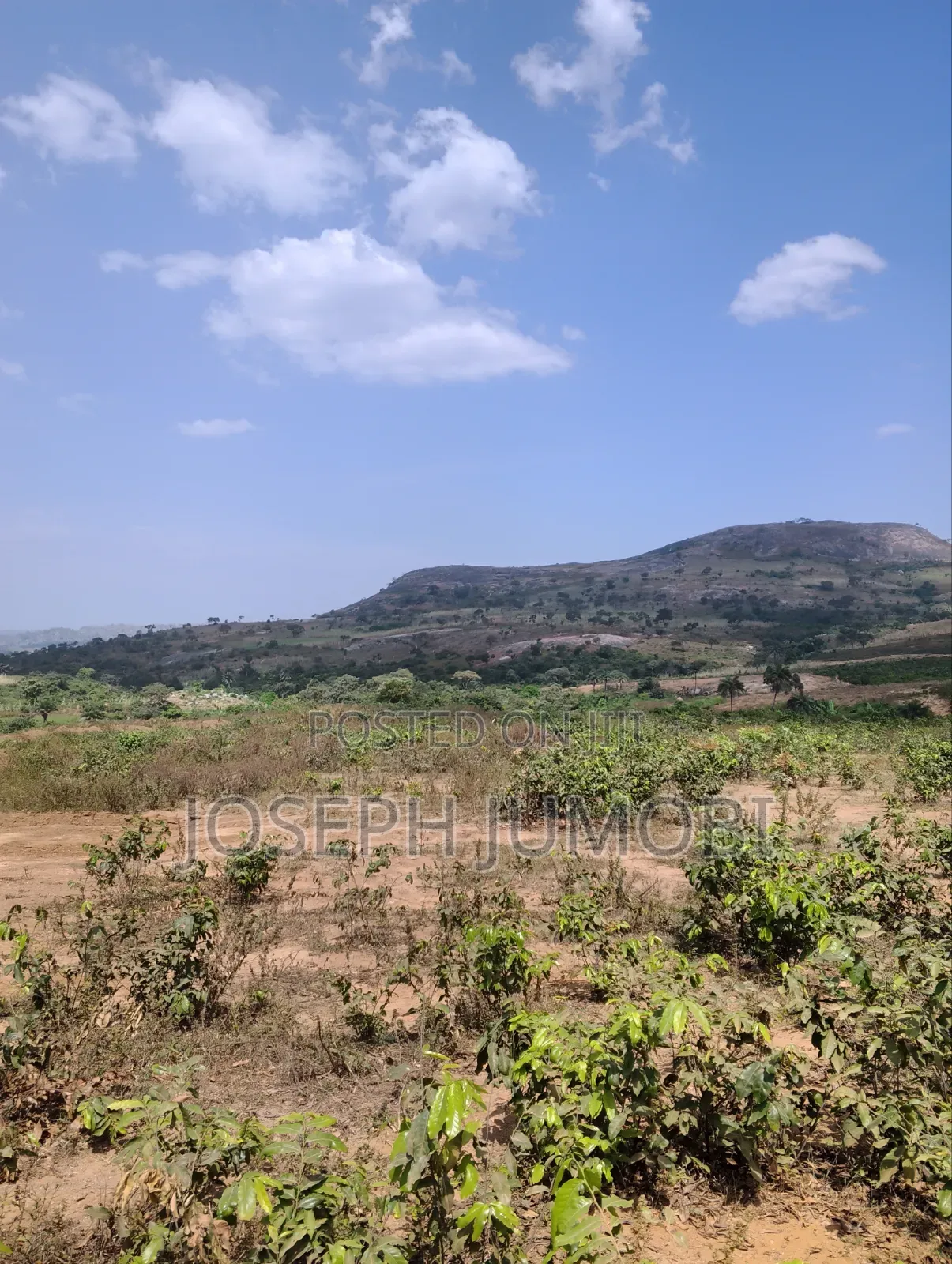 Residential Plot