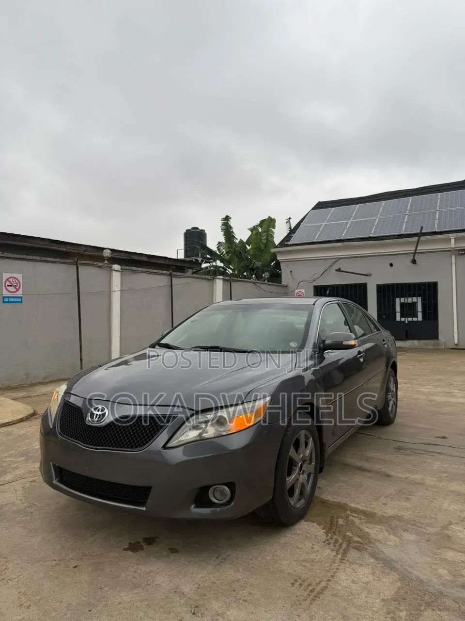 Toyota Camry XLE 4dr Sedan (2.5L 4cyl 6A) 2011 Gray