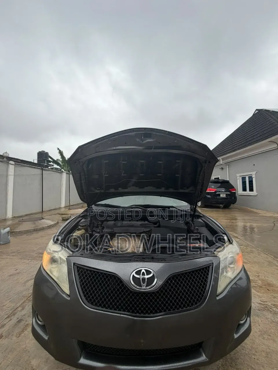 Toyota Camry XLE 4dr Sedan (2.5L 4cyl 6A) 2011 Gray