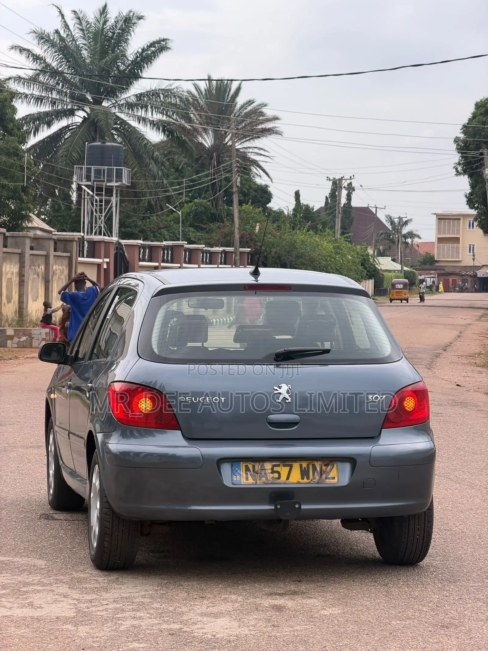 Peugeot 307 2007 Gray