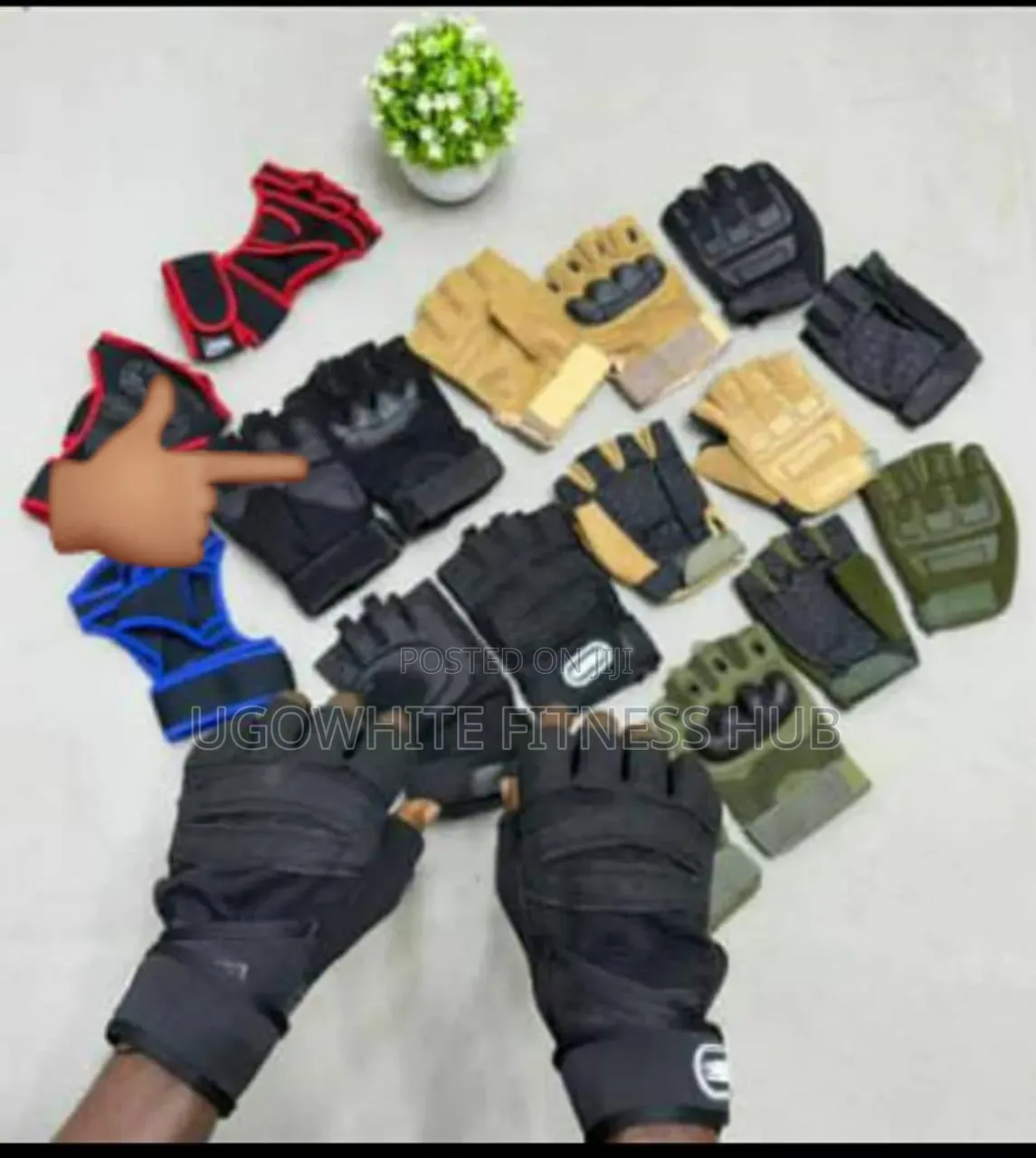 Gym Gloves