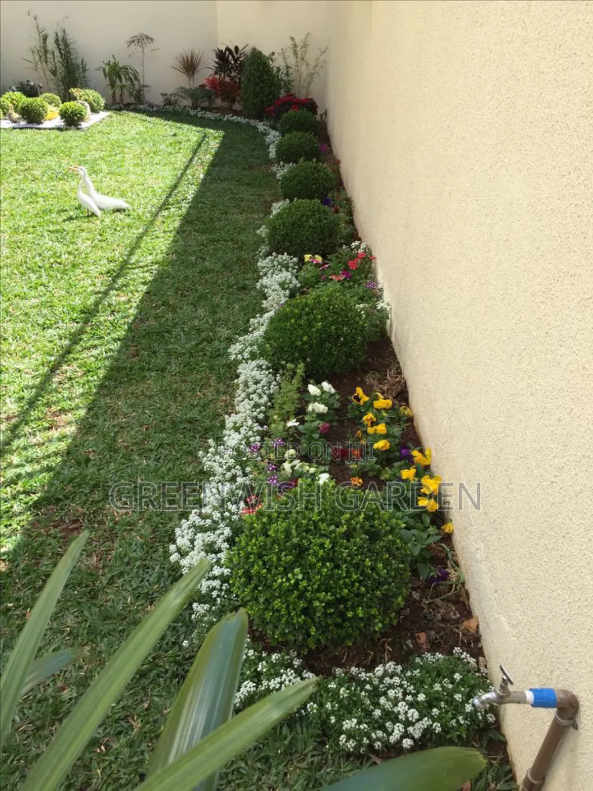 Garden and Landscaping