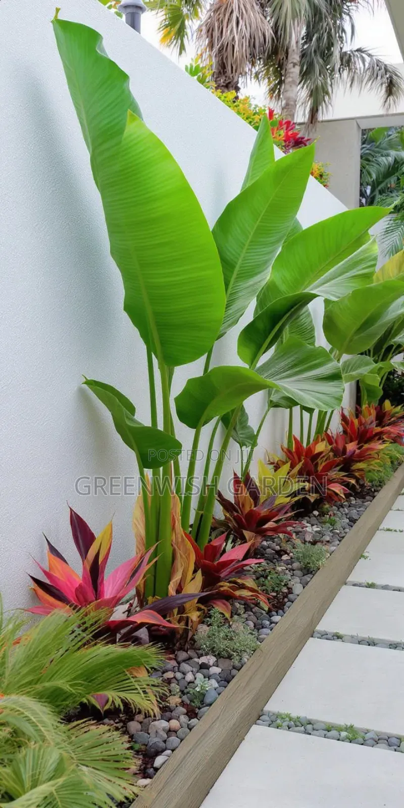 Garden and Landscaping