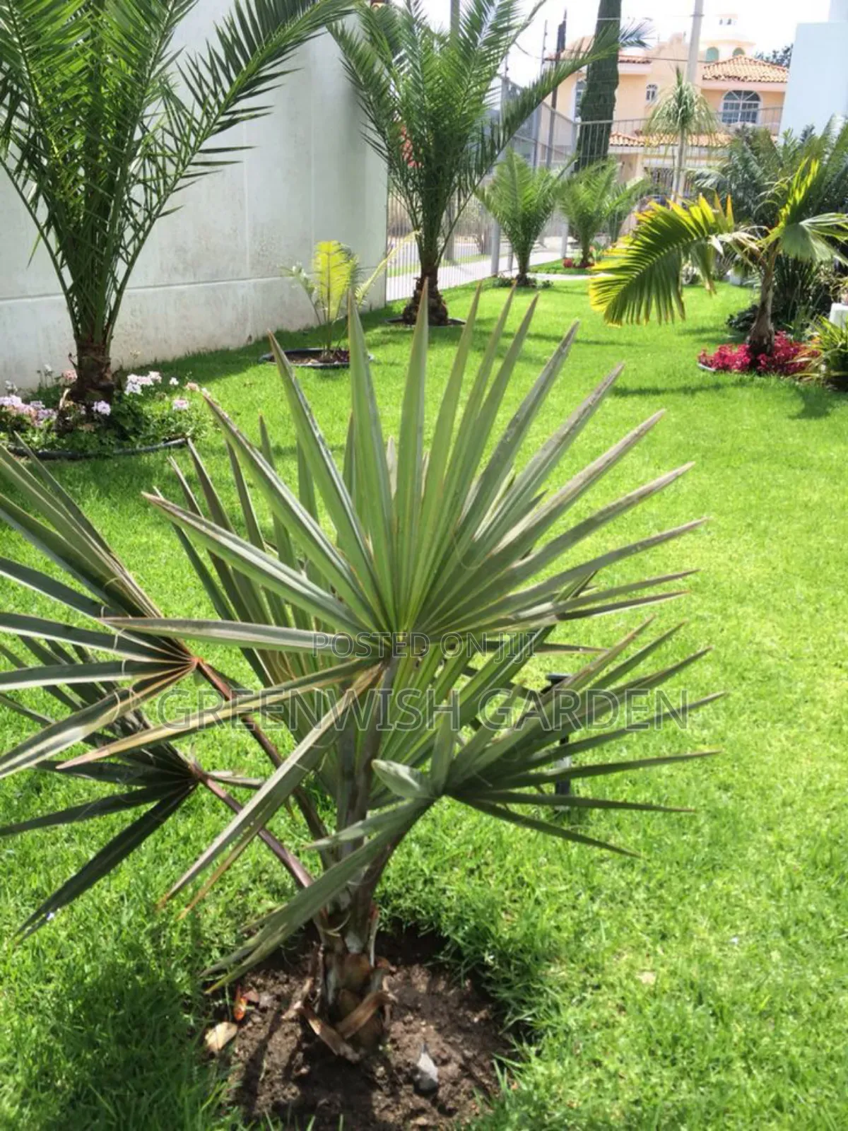 Garden and Landscaping