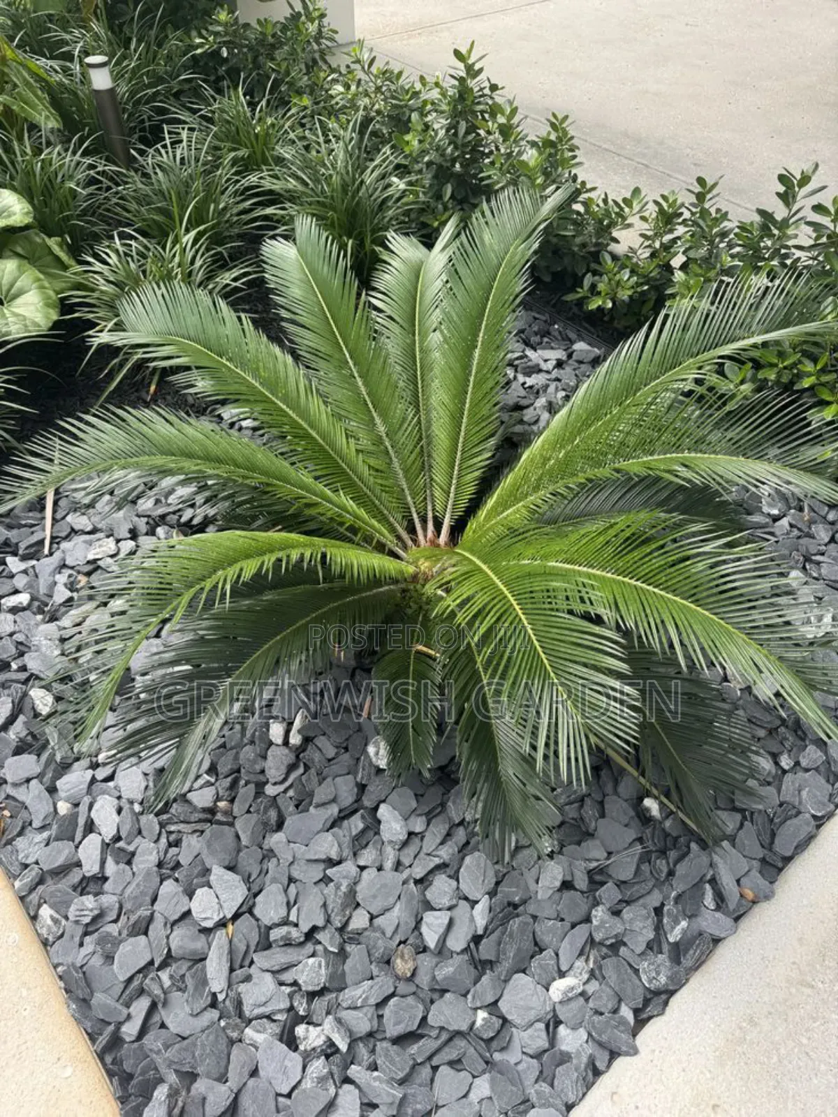 Garden and Landscaping