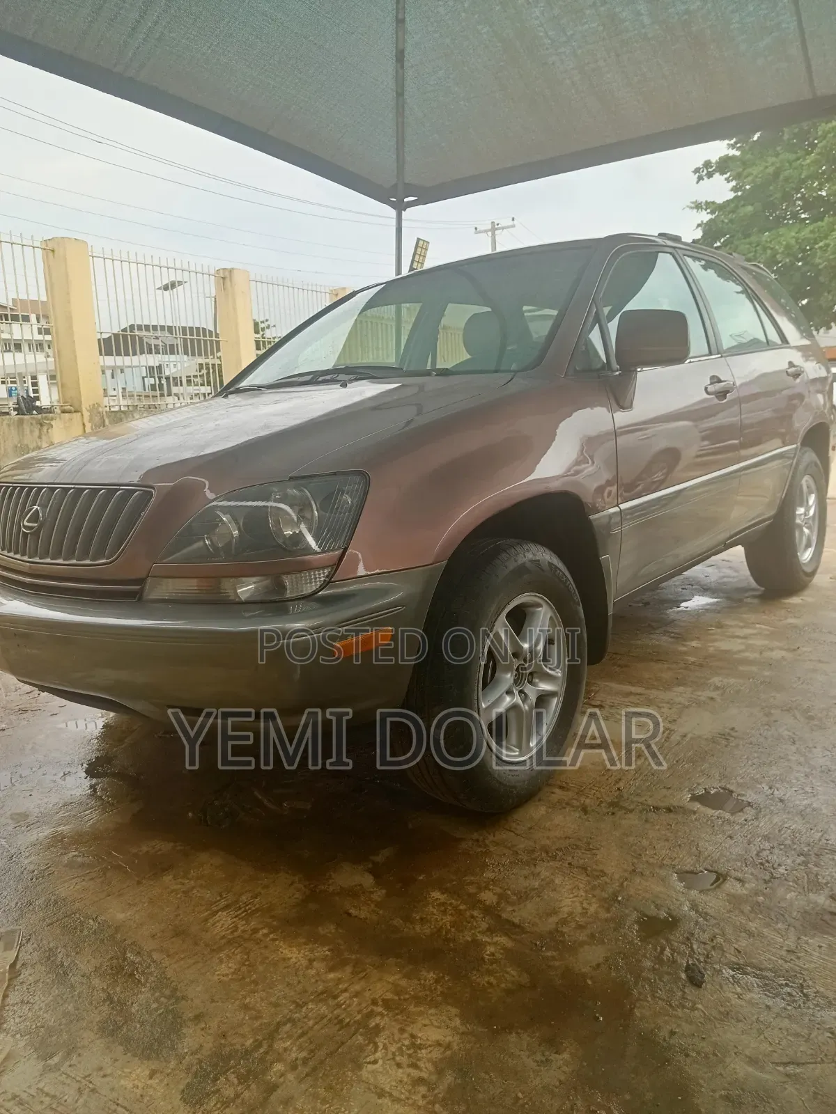 Lexus RX 300 2001 Brown