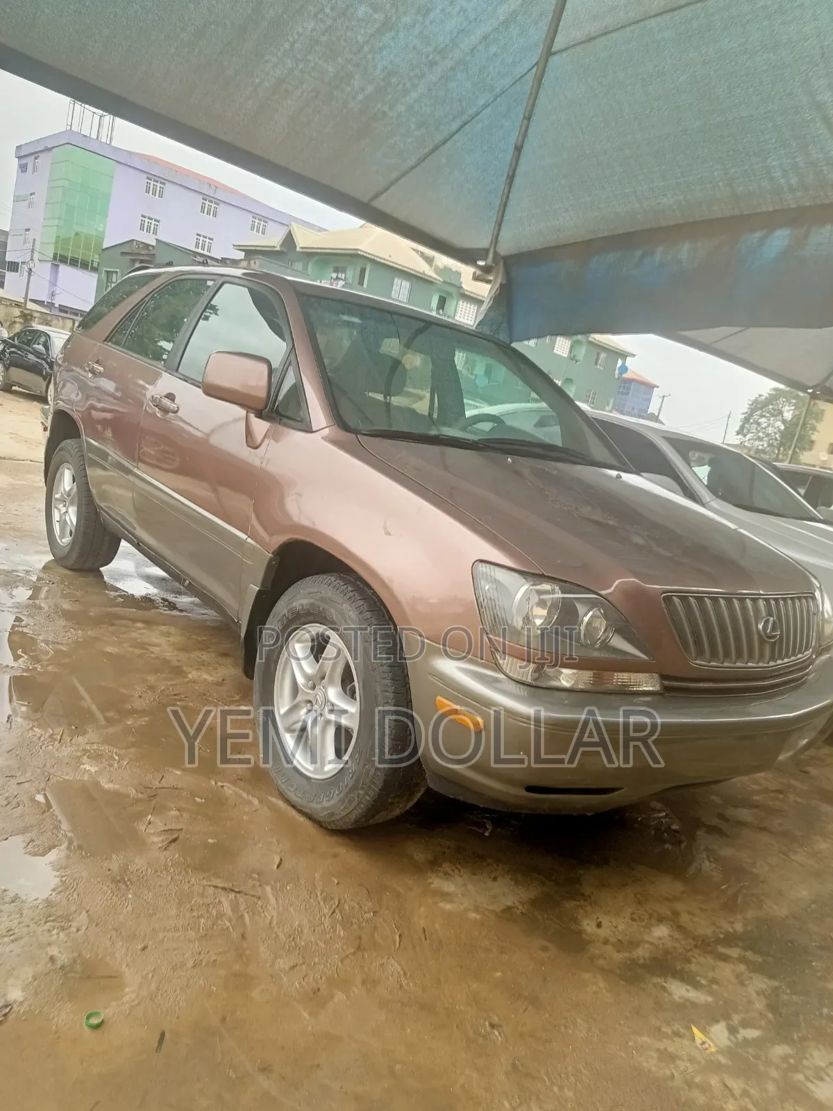 Lexus RX 300 2001 Brown