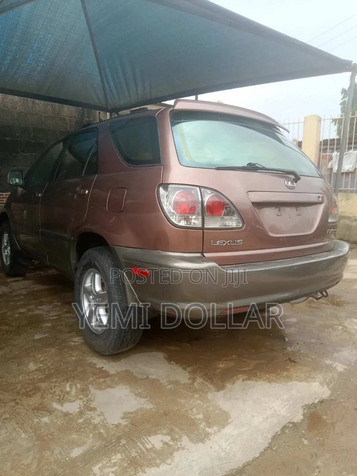 Lexus RX 300 2001 Brown