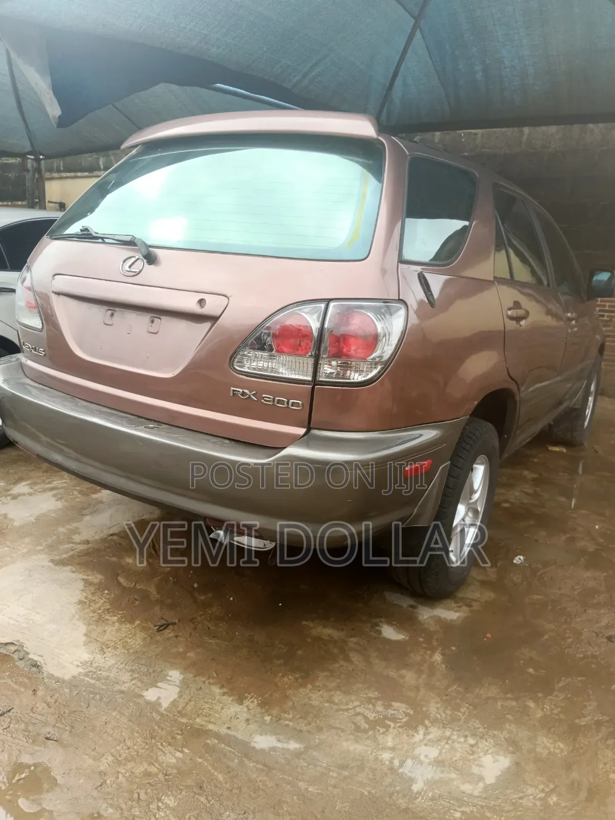 Lexus RX 300 2001 Brown