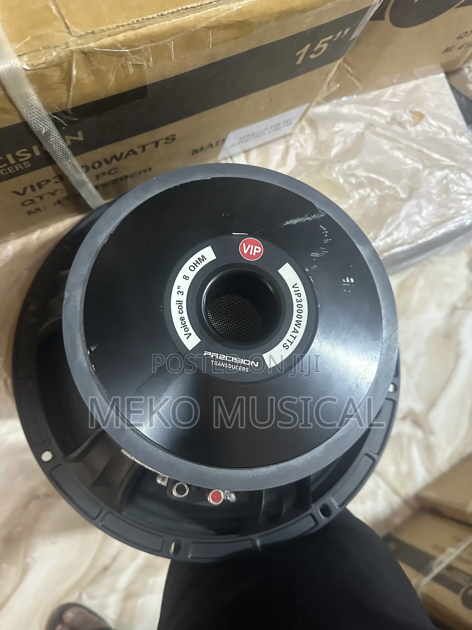 12” Inches Speaker Big Magnet