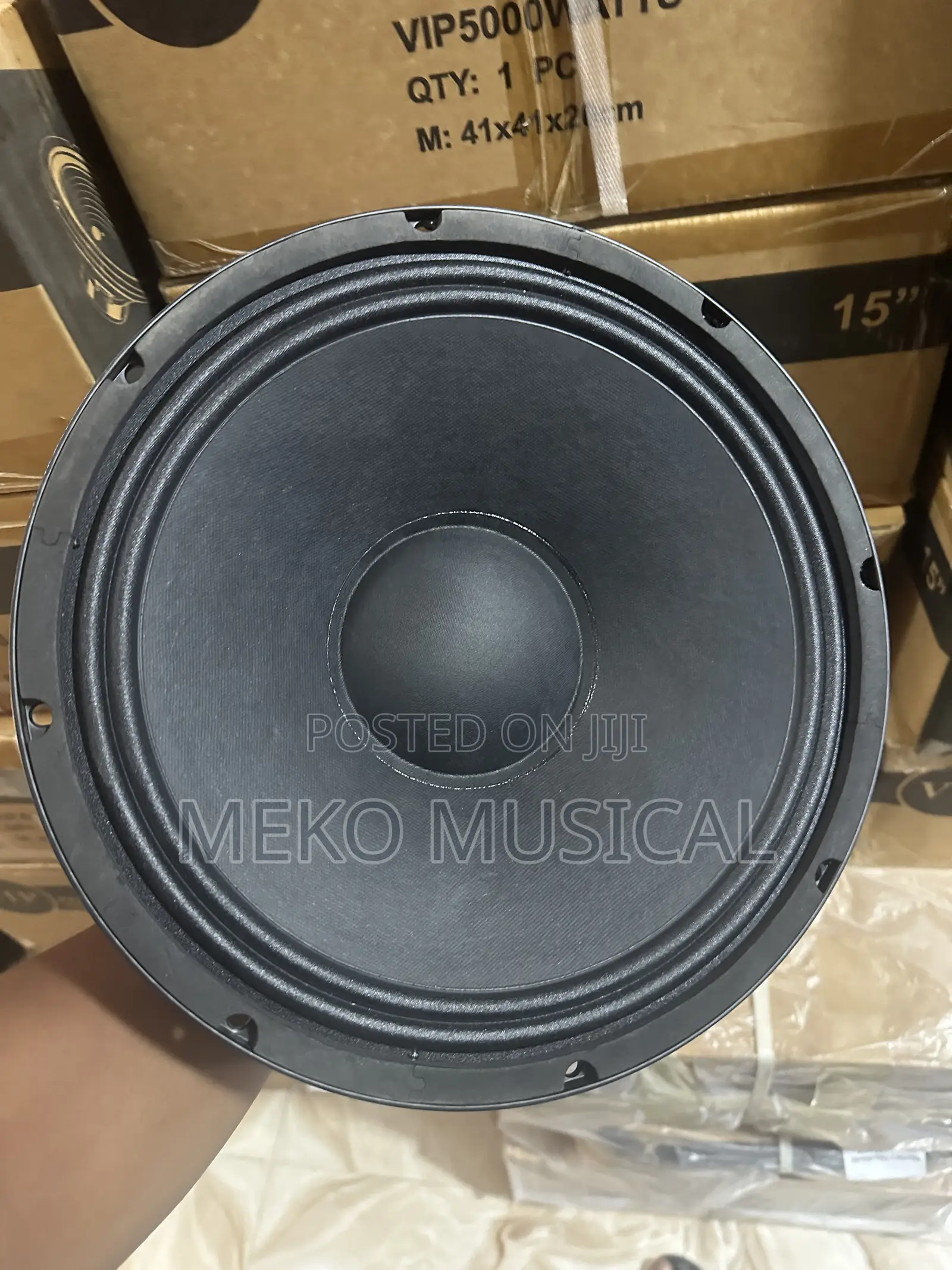 12” Inches Speaker Big Magnet