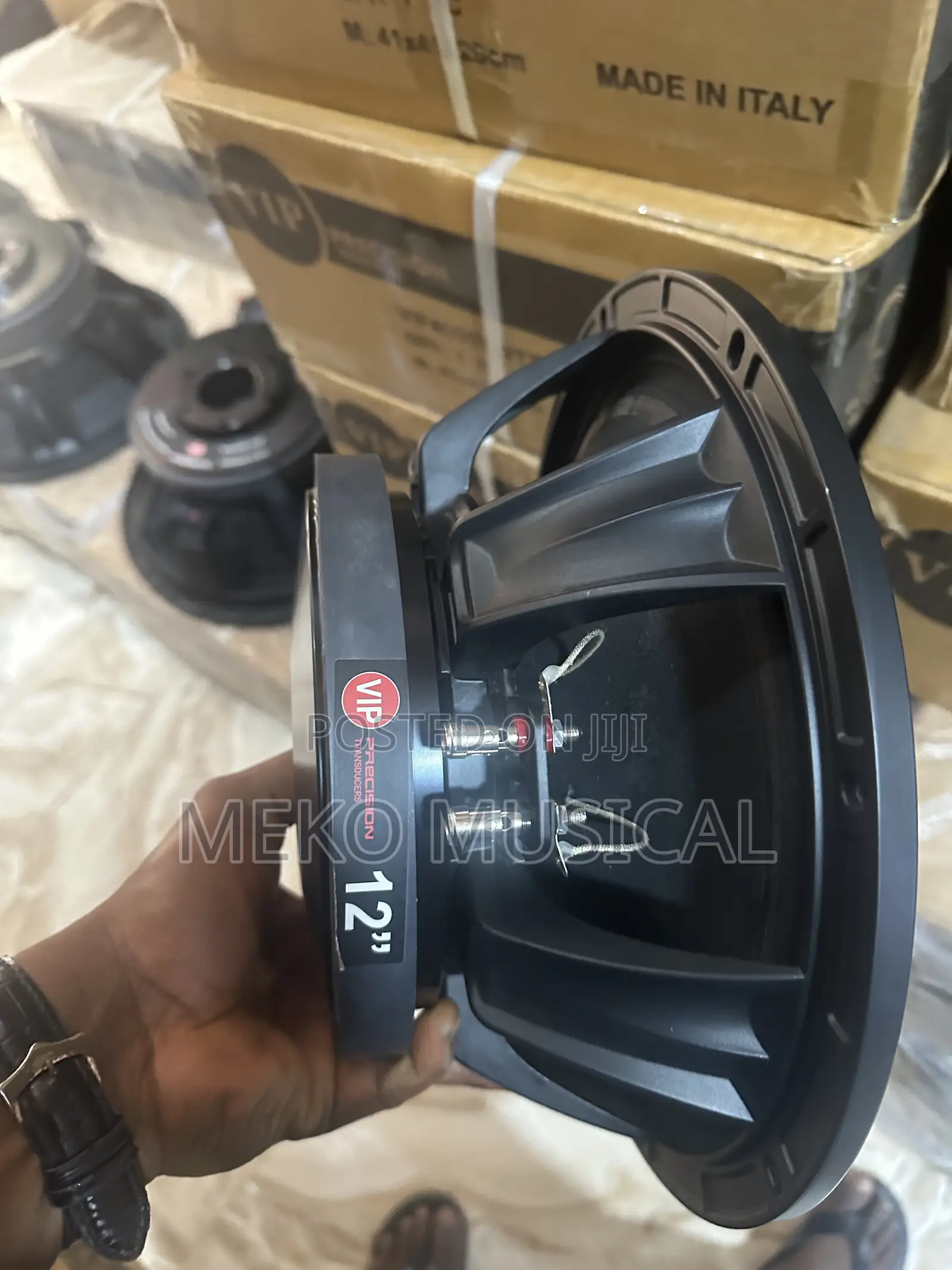 12” Inches Speaker Big Magnet