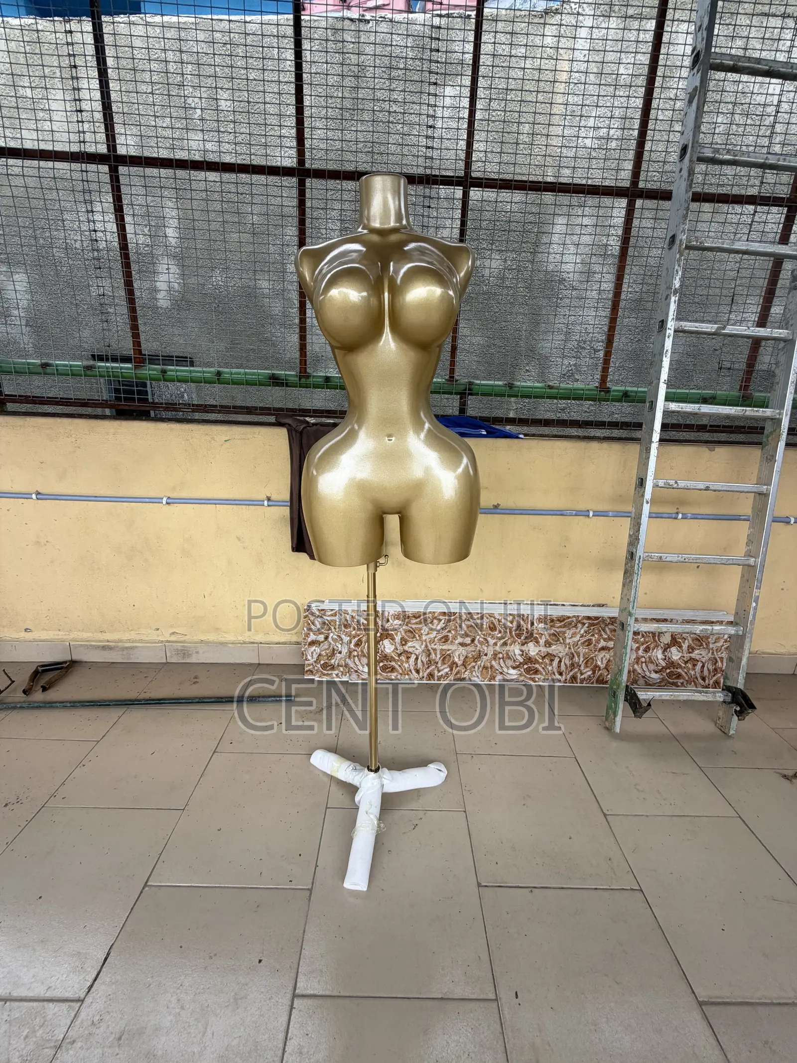 BBL Body Form