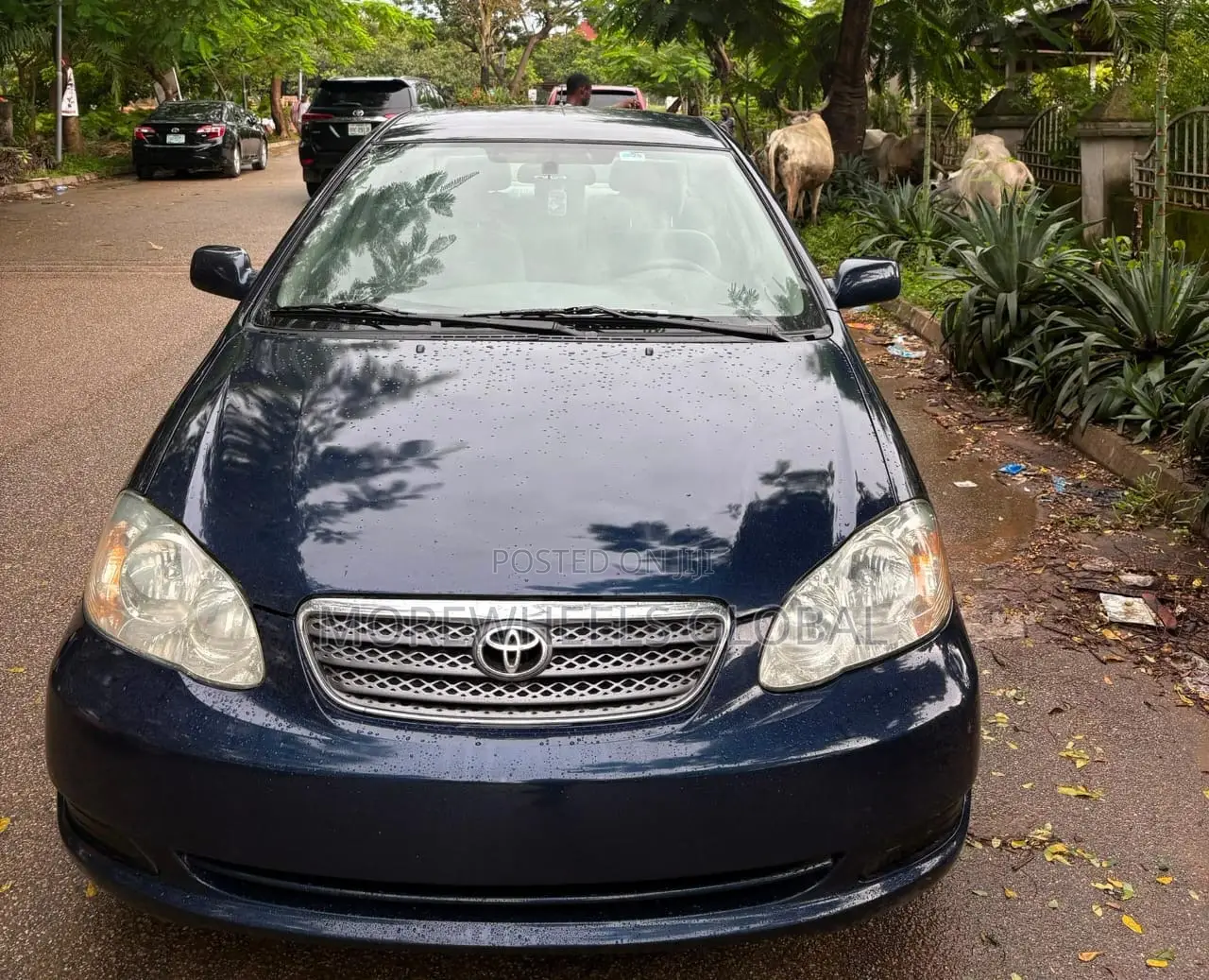 Toyota Corolla LE 2007 Blue