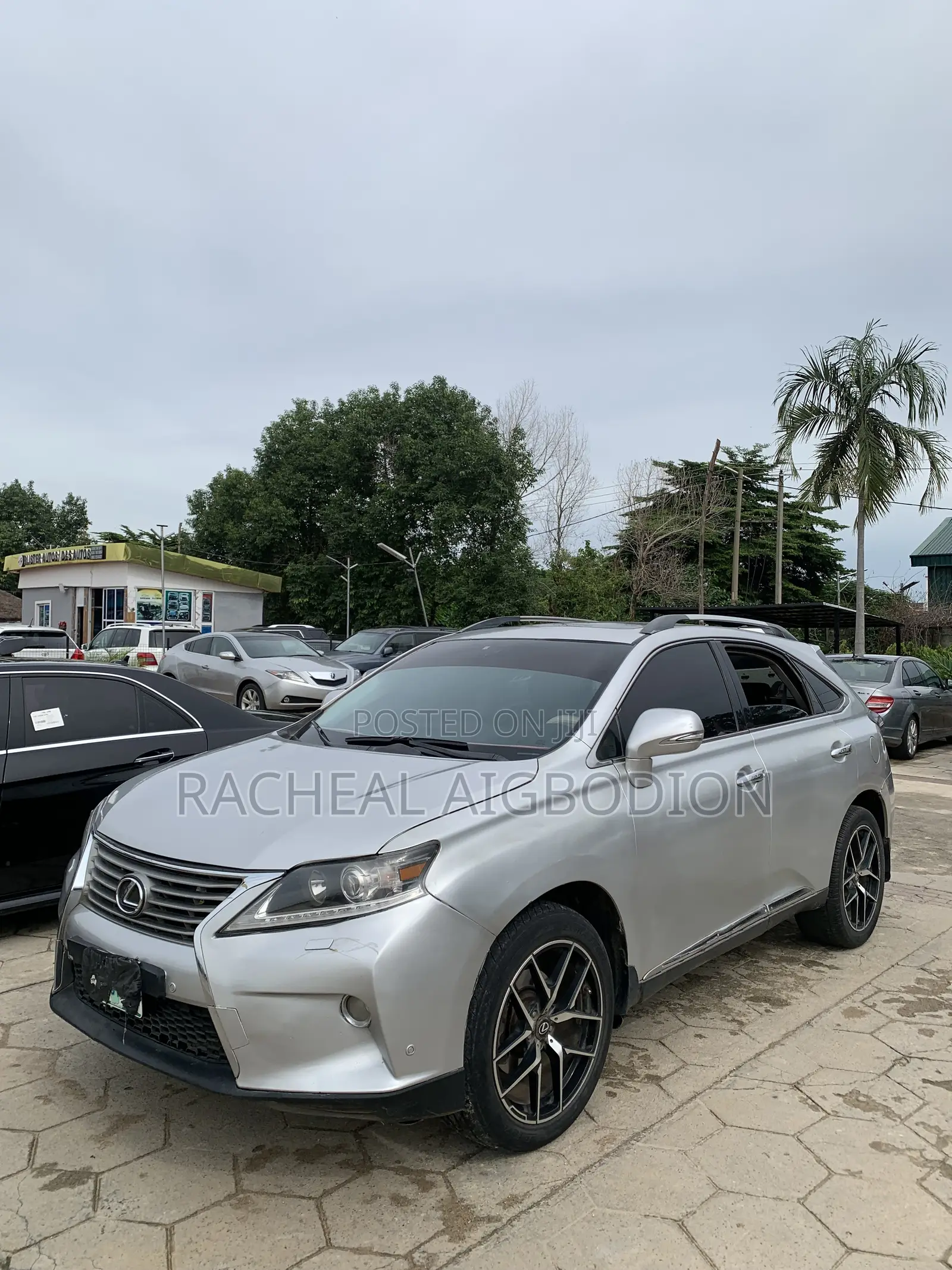 Lexus RX 2010 Silver