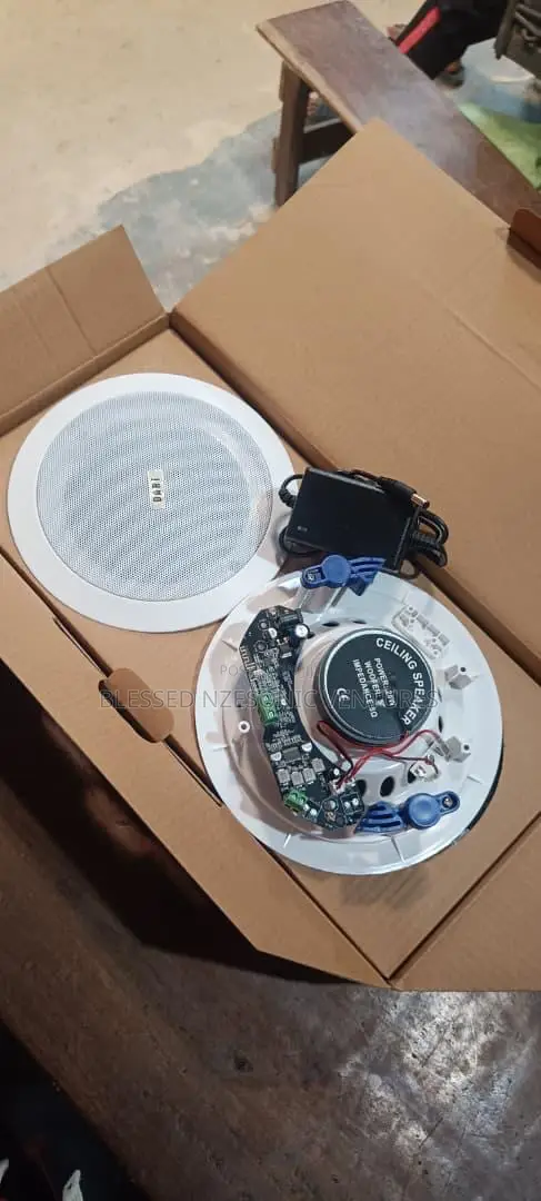Bluetooth Ceiling Speakers