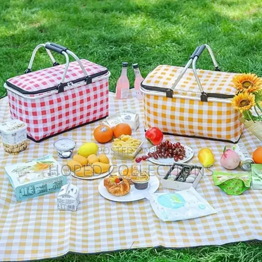Picnic Bag