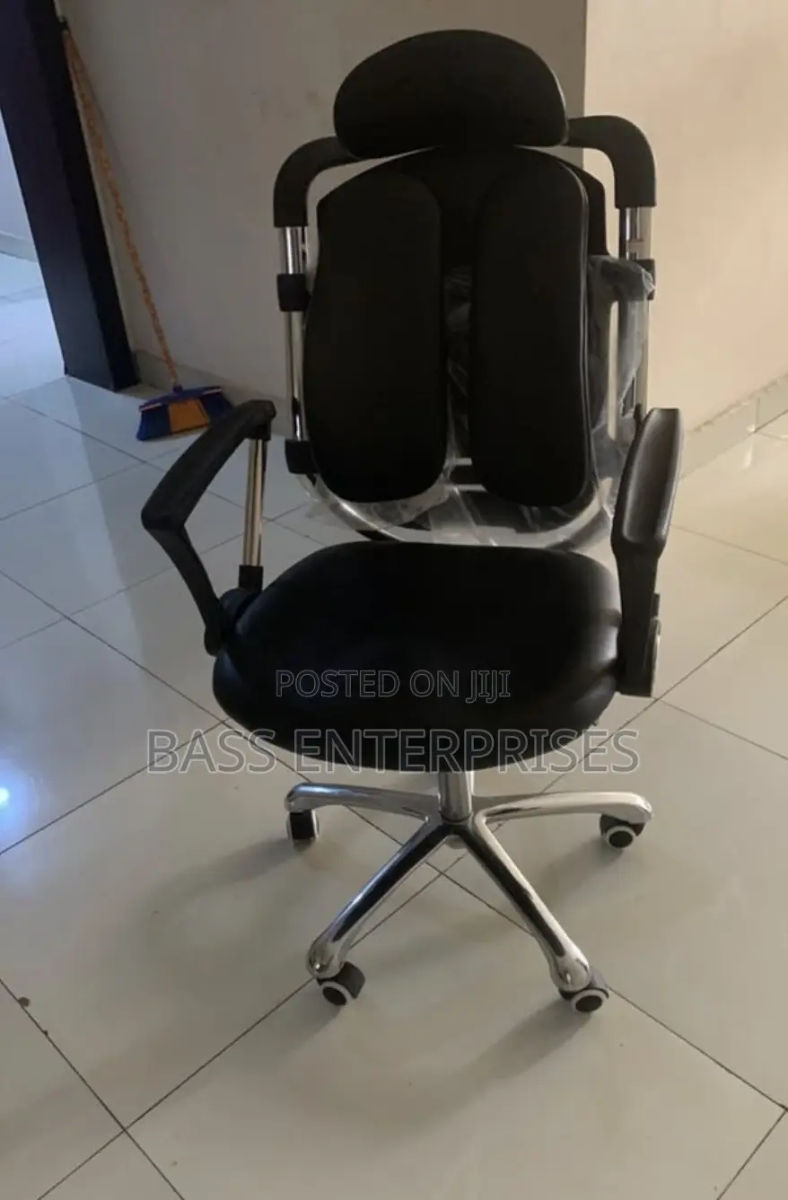 Executive Ergonomic Office Chair With Headrest