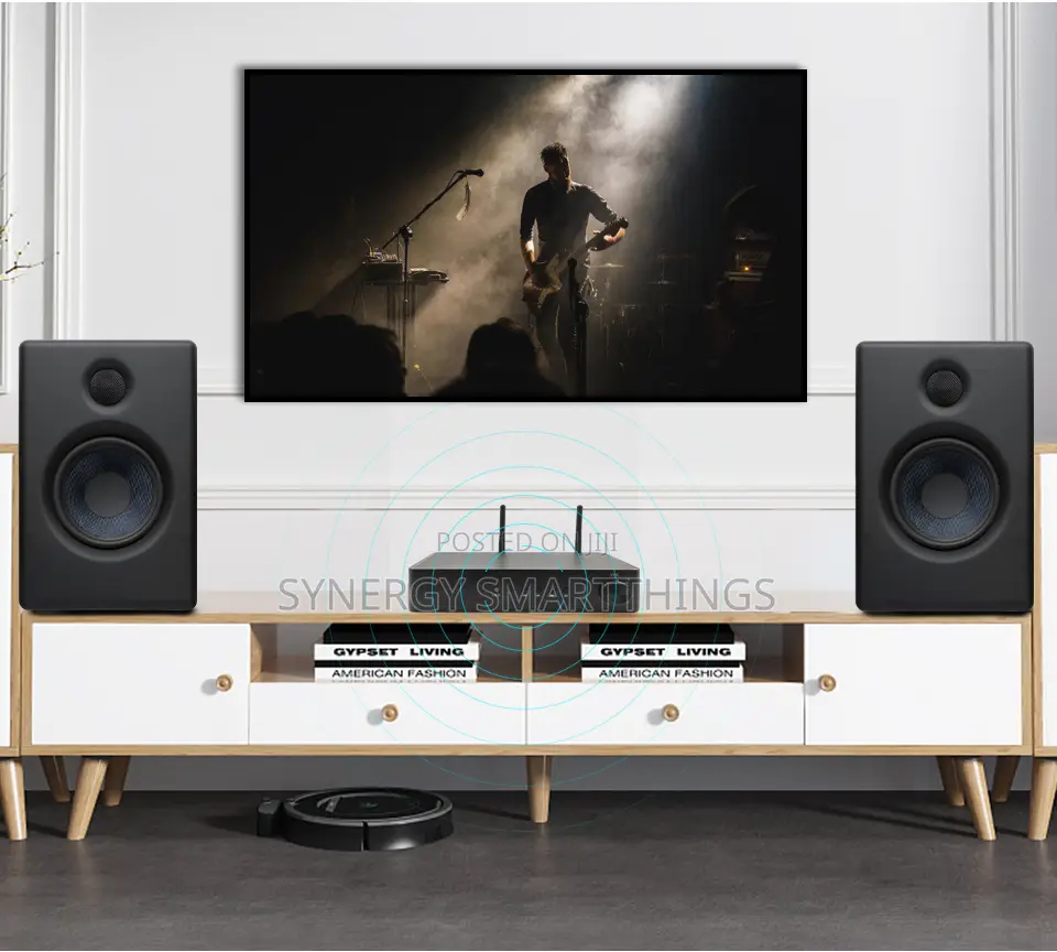 60w X2 Multi Room Amplifier-iHomeLife - Works With Alexa