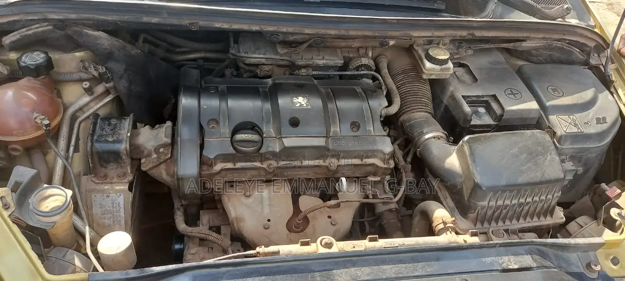 Peugeot 307 SW 2004 Gold