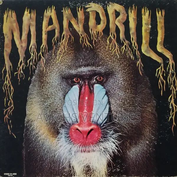Mandrill – Mandrill