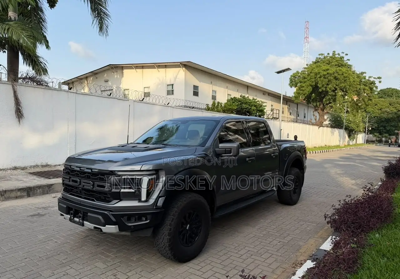 Ford F-150 Platinum 2024 Gray