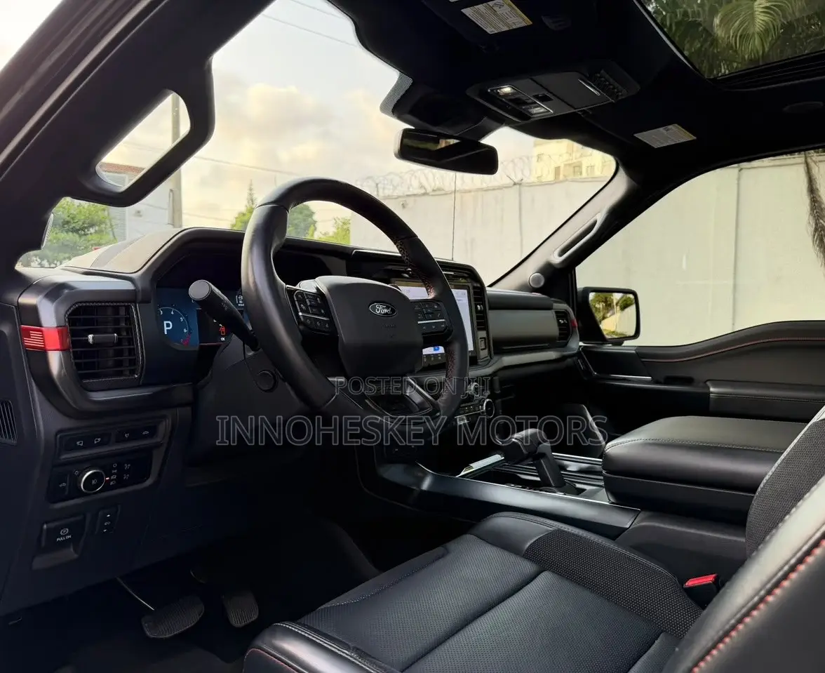 Ford F-150 Platinum 2024 Gray