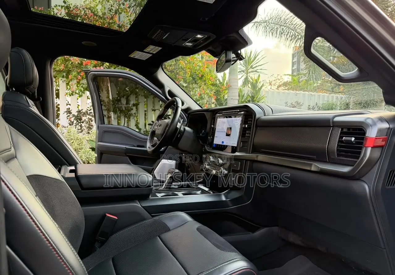 Ford F-150 Platinum 2024 Gray