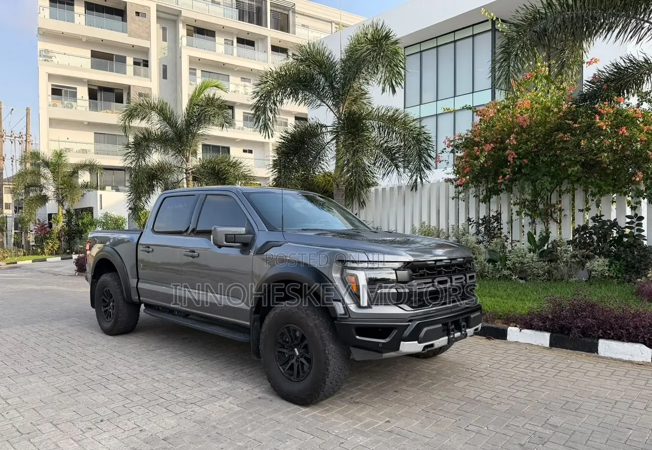 Ford F-150 Platinum 2024 Gray