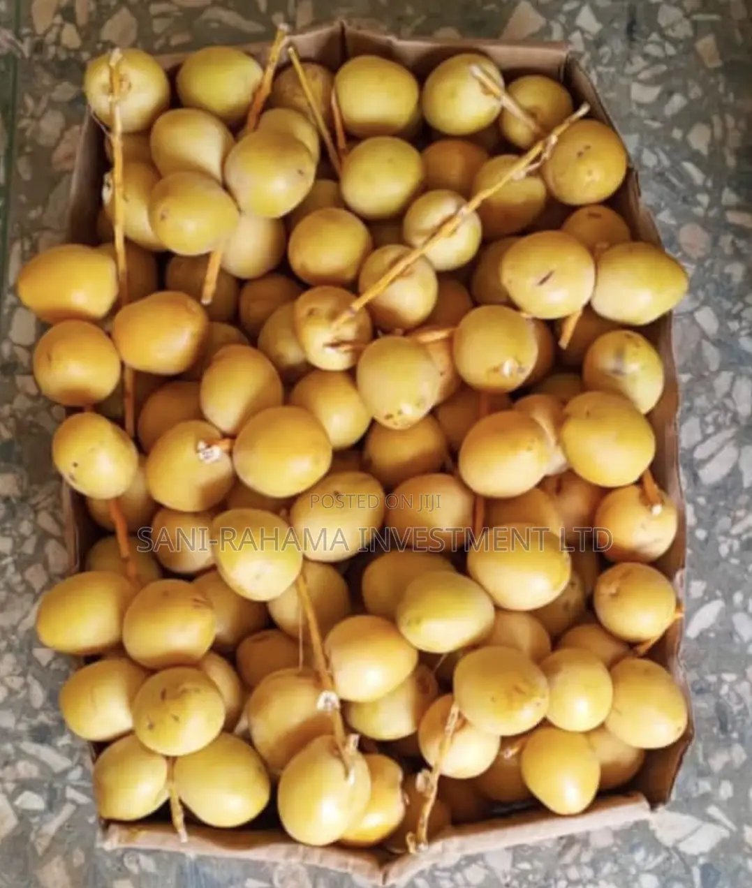 Fresh Original Saudi Yellow Dates (Rutab) | Premium Quality