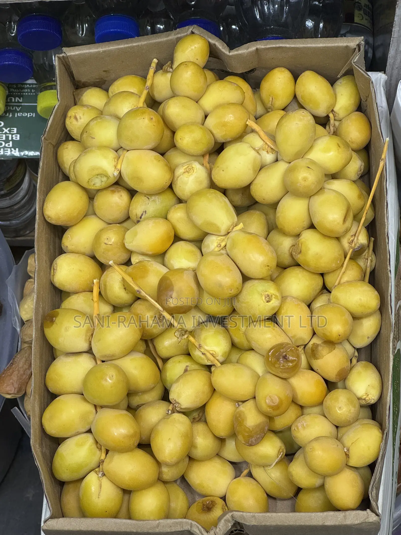 Fresh Original Saudi Yellow Dates (Rutab) | Premium Quality