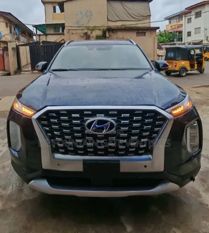 Hyundai Palisade 2020 Blue