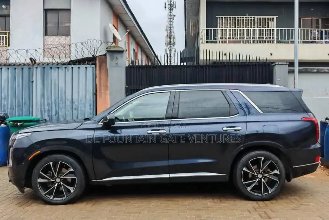 Hyundai Palisade 2020 Blue