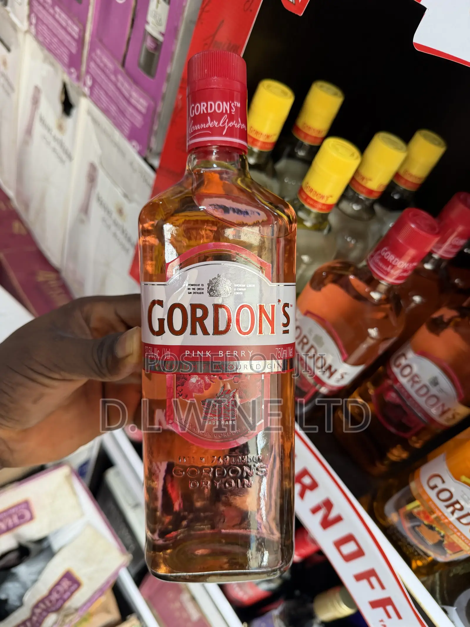 GORDON’s Pink Berry Cartoon of 12 Bottles