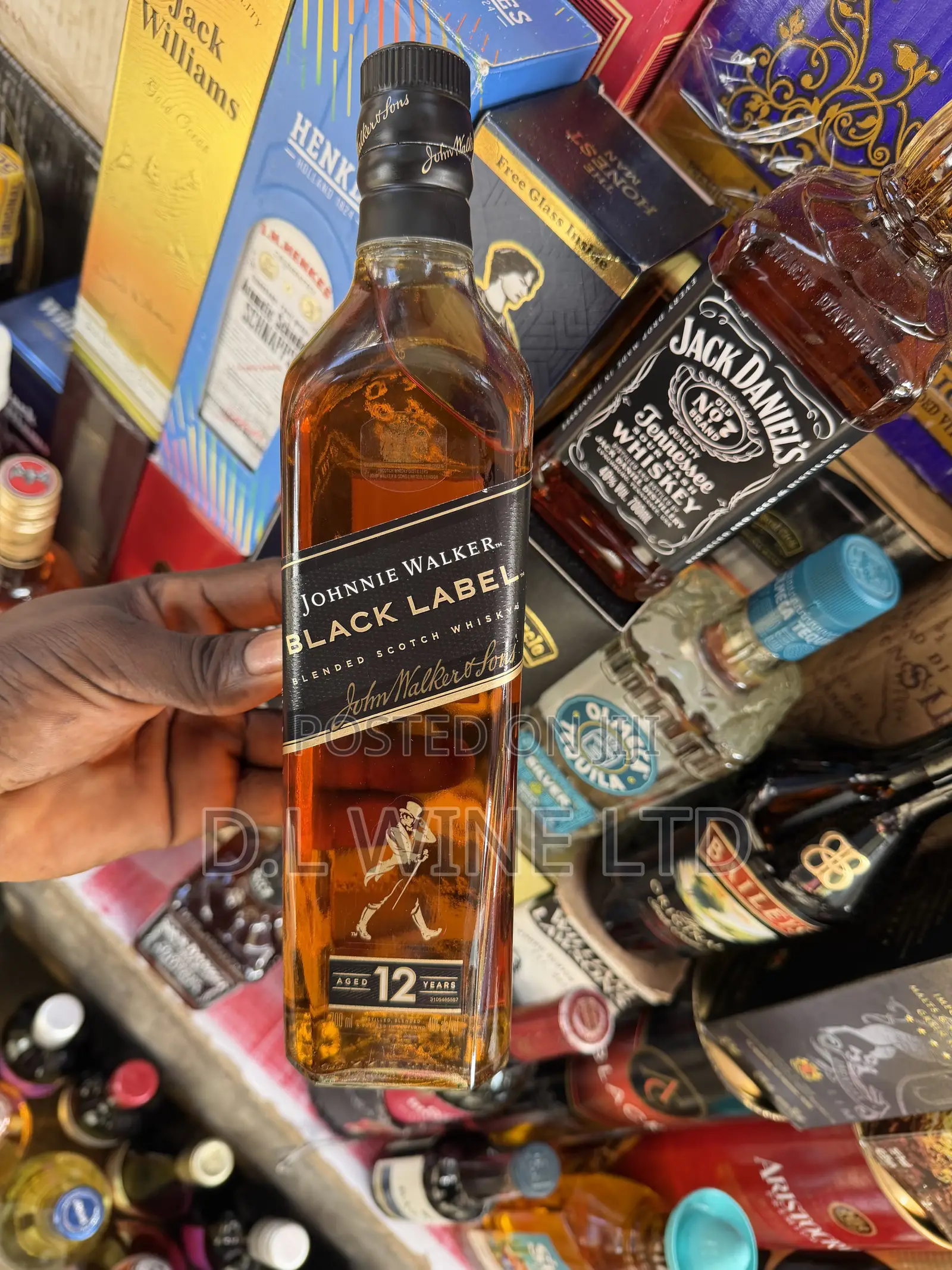 Black Label Scotch Whisky Carton of 12 Bottles