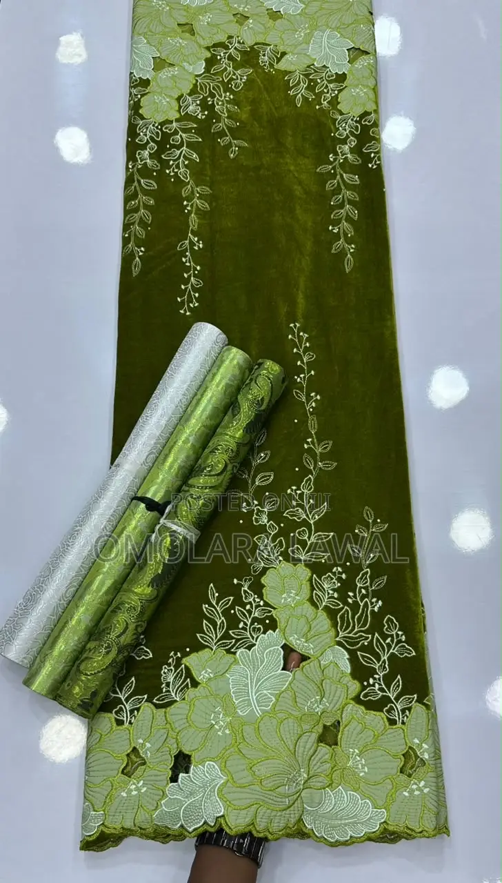 Luxury Embroidery Velvet Lace