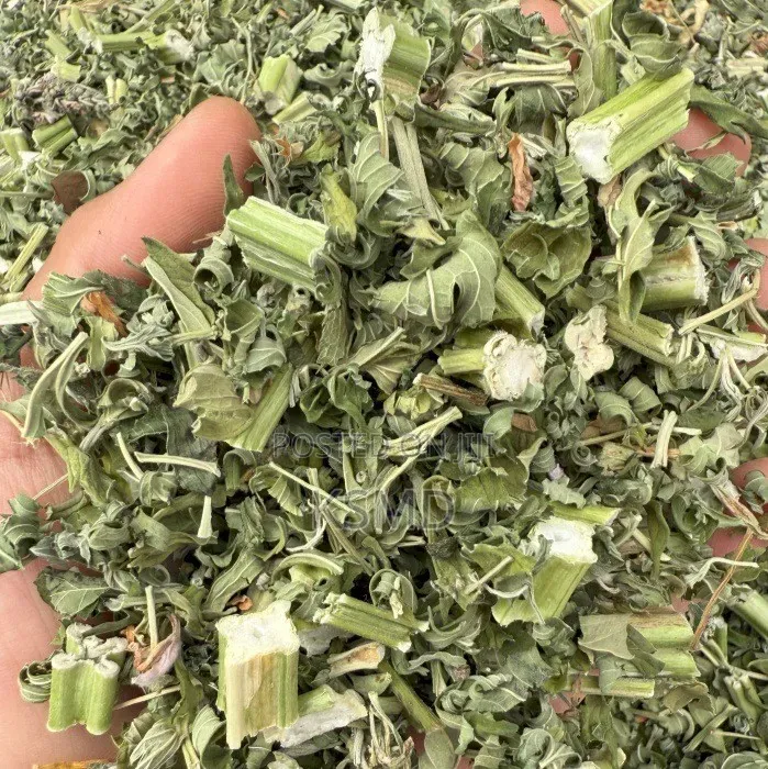 500grams Dried Motherwort Herb