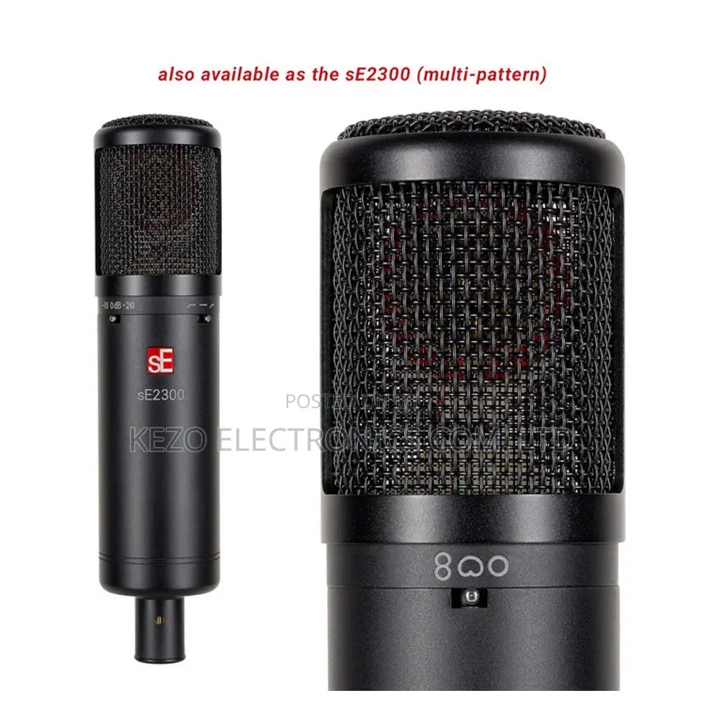 Se2200 Large Diaphragm Condencer Microphone