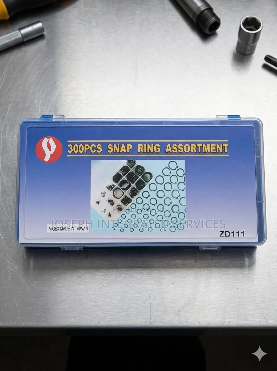 300-Piece VIGEX Snap Ring Assortment Kit
