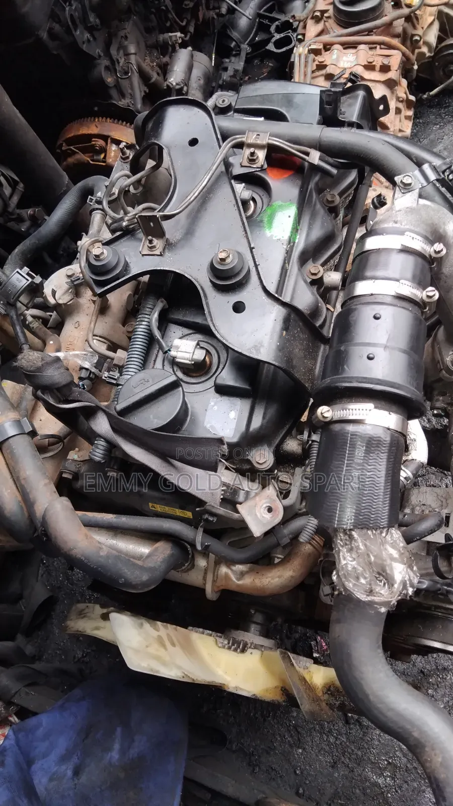 Diesel Engine Nissan Navara