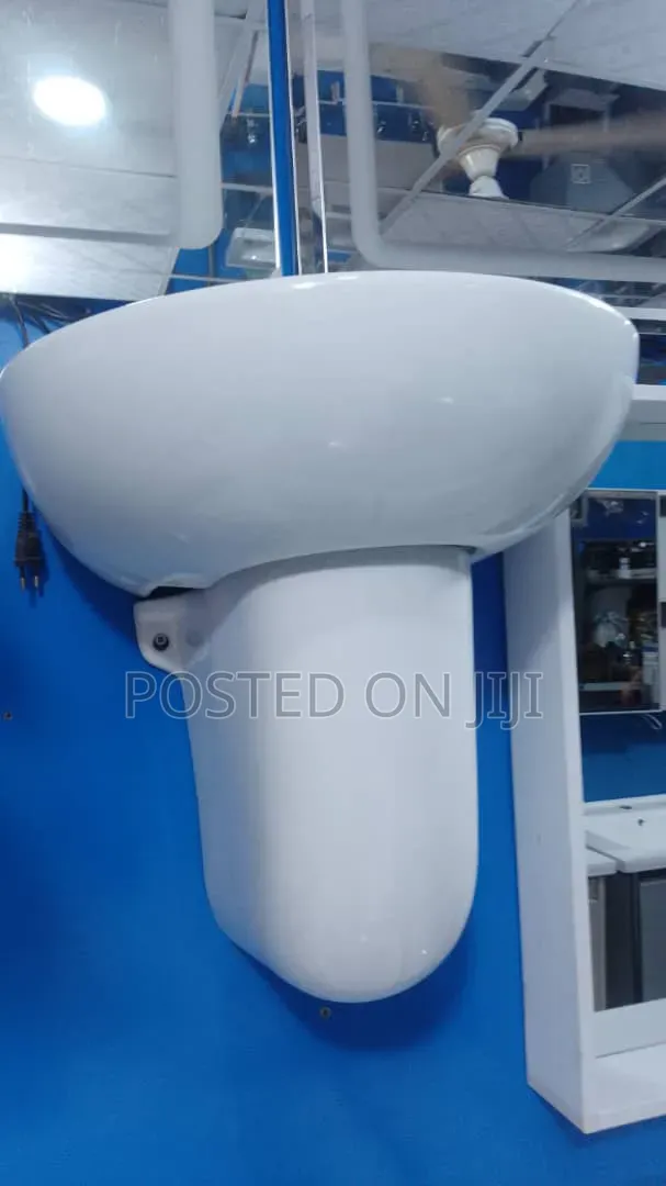 Suspended Wash Hand Basin and Pedestal