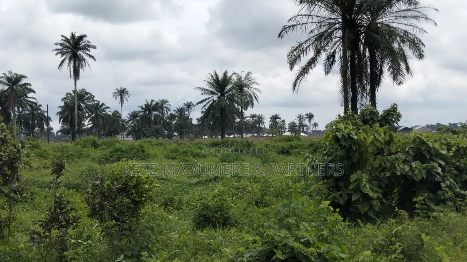 For Sale : 950 SQMTRS at Heliu Estate Enugu