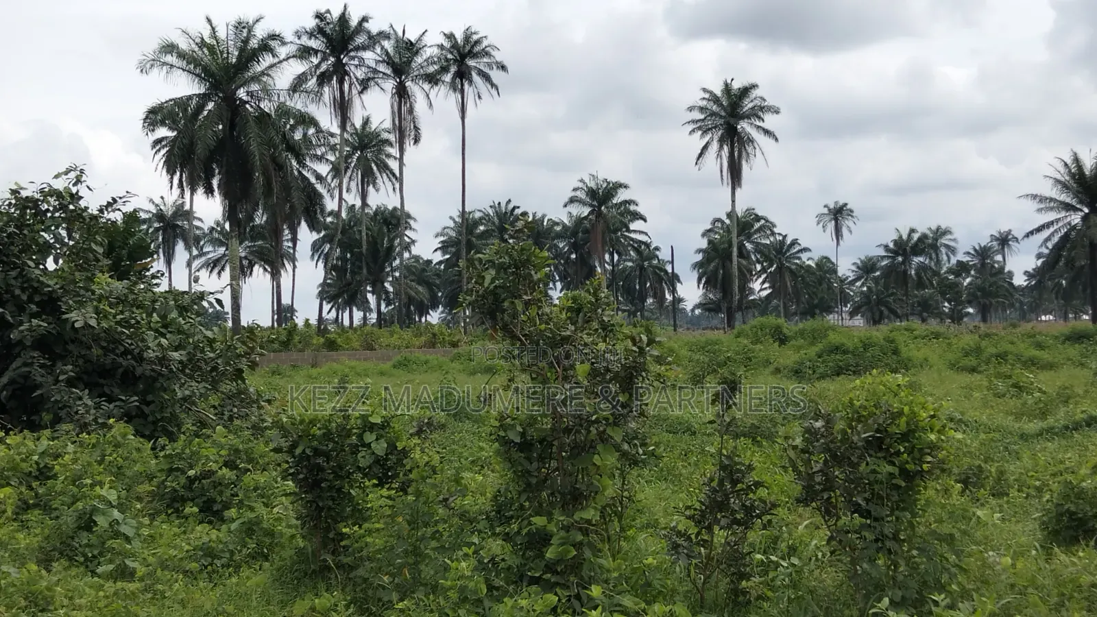 For Sale : 950 SQMTRS at Heliu Estate Enugu
