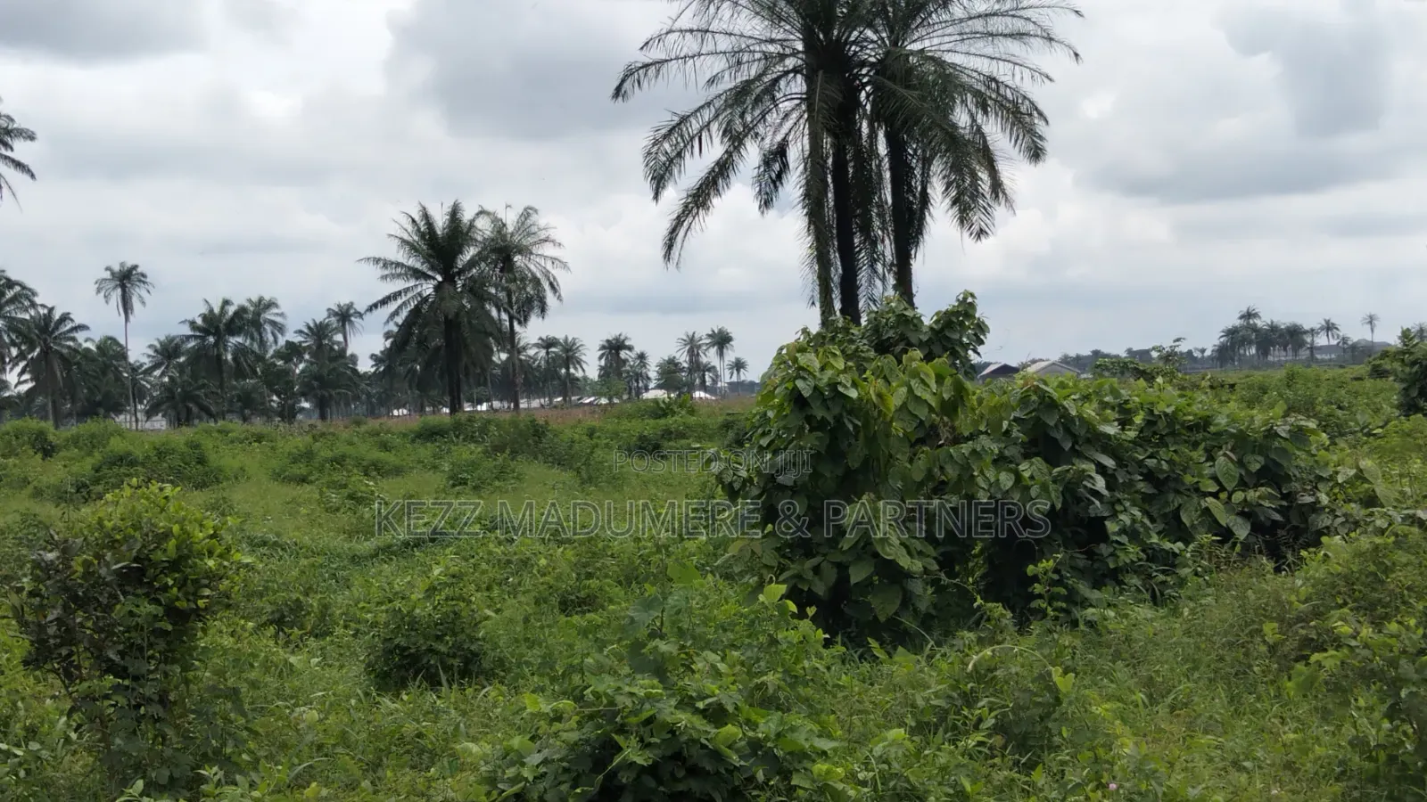 For Sale : 950 SQMTRS at Heliu Estate Enugu