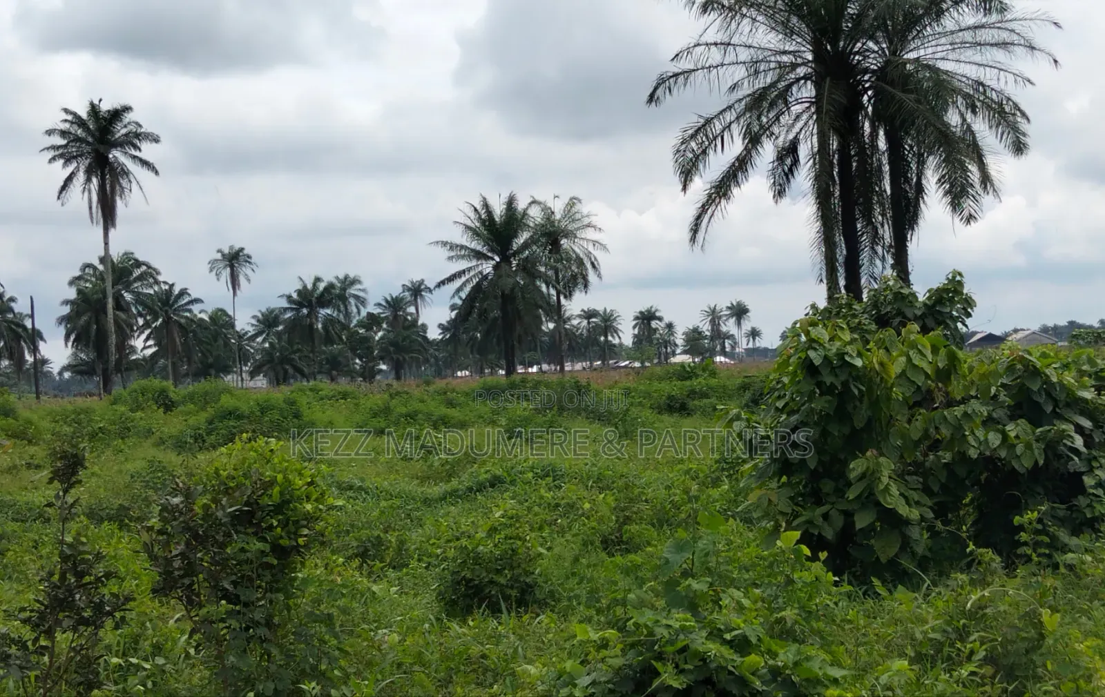 For Sale : 950 SQMTRS at Heliu Estate Enugu