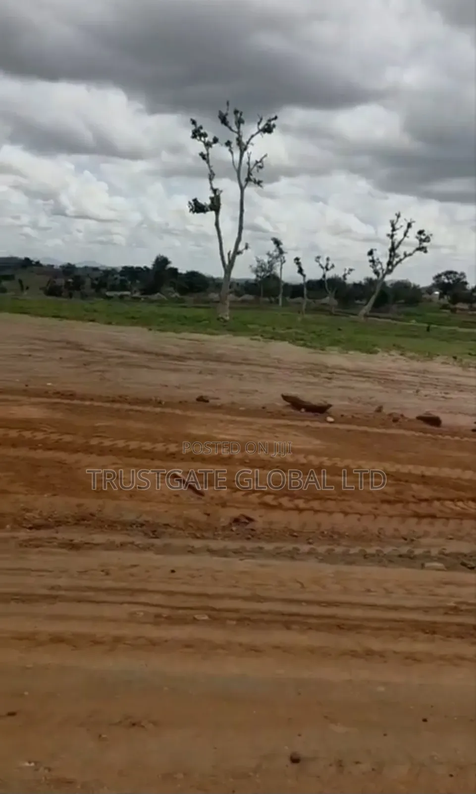 100 Hectares on a Tarred Road for Sale