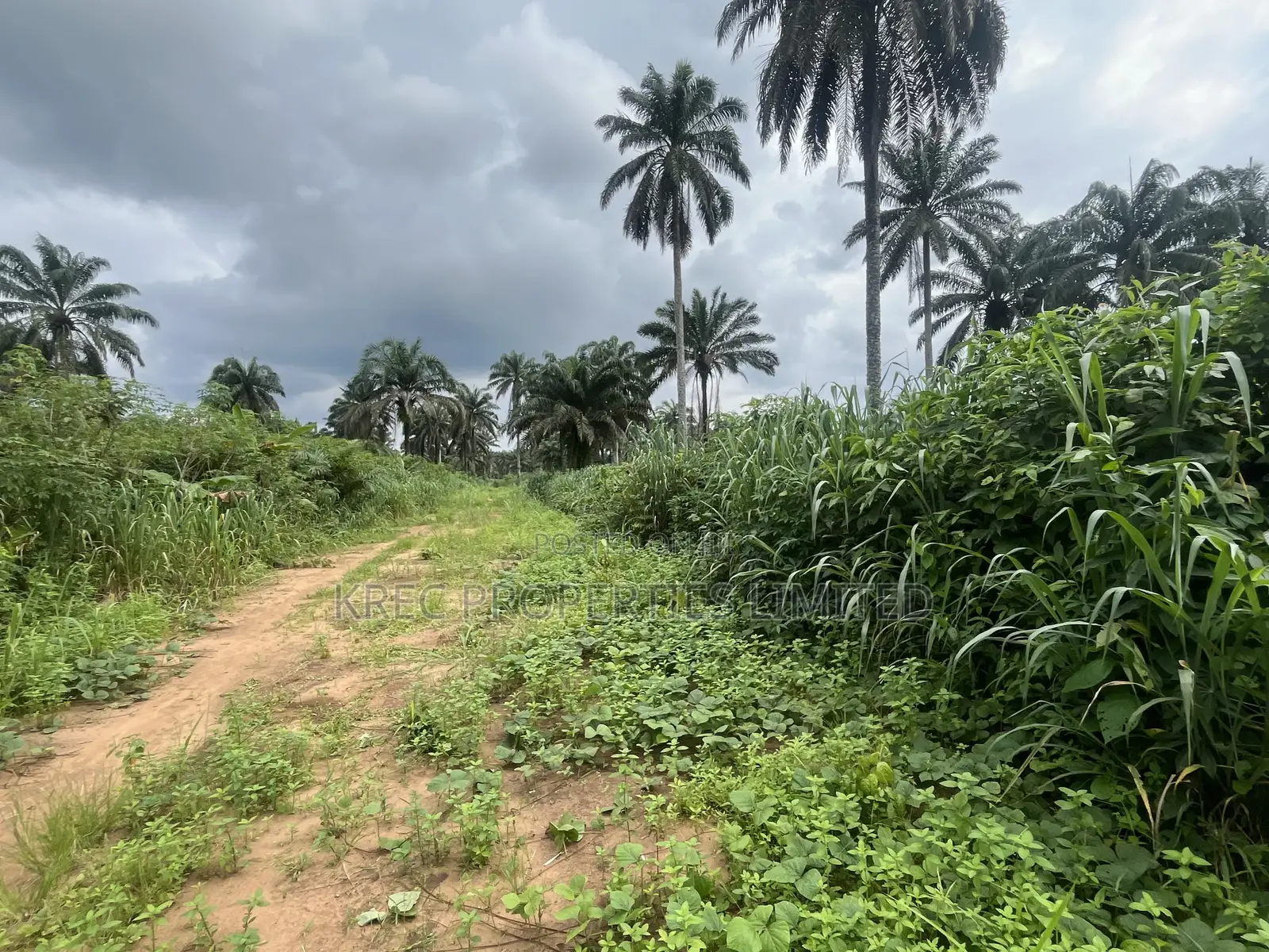 35plots of Land Beside Airport Fence Ipo Omagwa