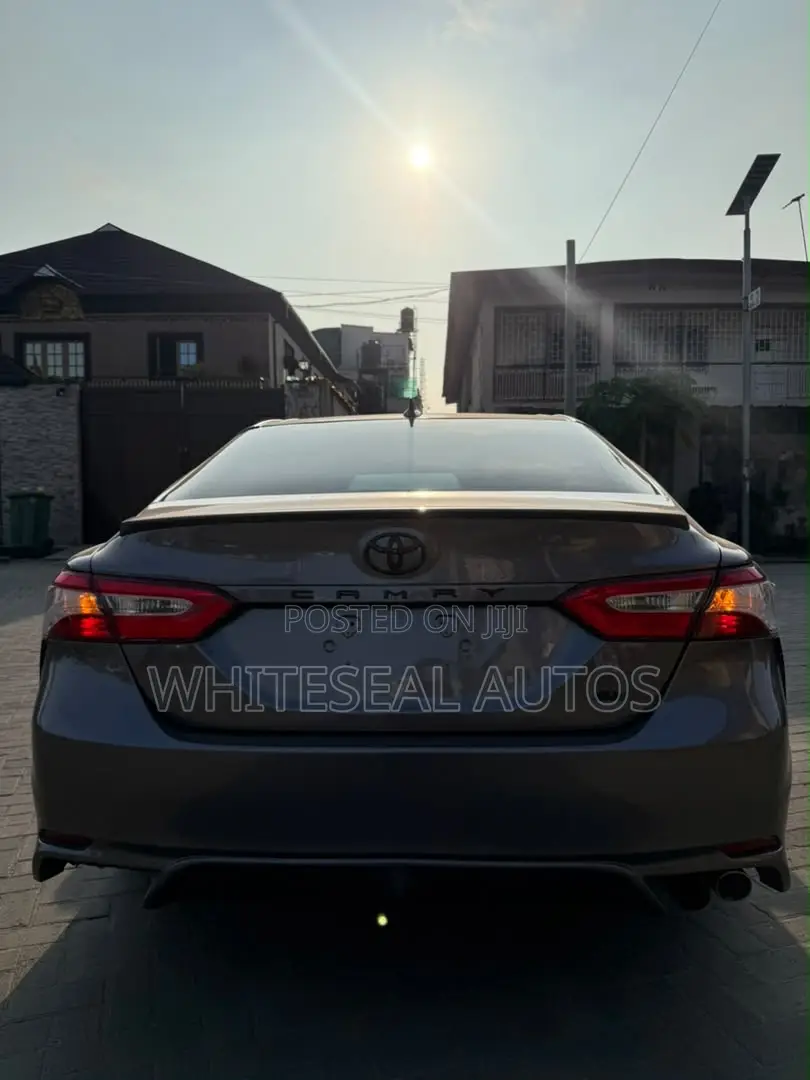 Toyota Camry XLE (2.5L 4cyl 8A) 2019 Gray