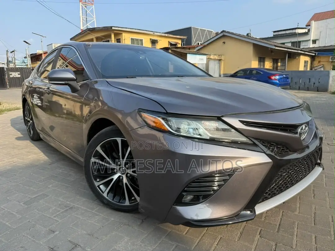 Toyota Camry XLE (2.5L 4cyl 8A) 2019 Gray